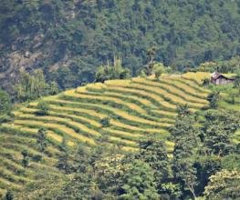 Sikkim & Darjeeling Tour Package - Silk Route Tourism
