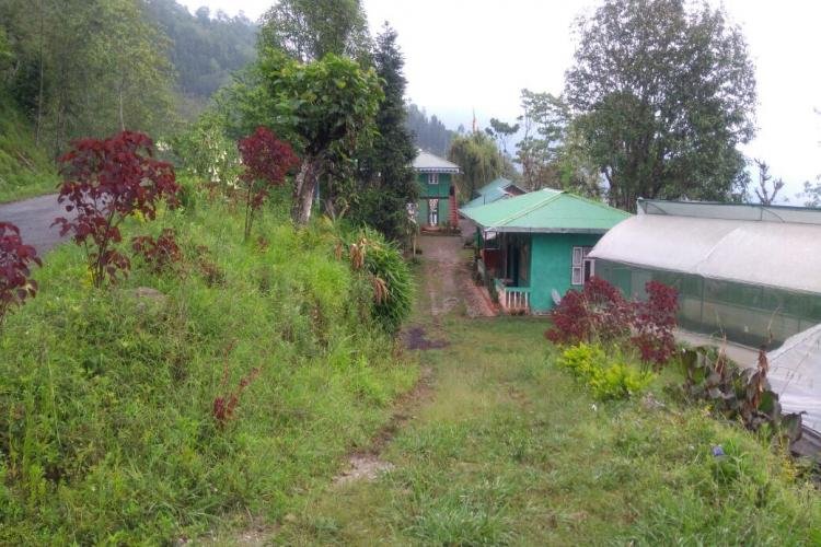 ASH MAYA  - Silk Route Tourism