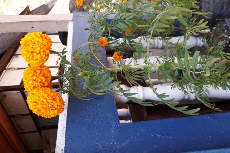 Rolep Homestay  - Silk Route Tourism