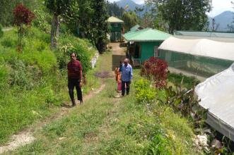Assam Lingzey Homestay- Silk Route Tourism, Sikkim