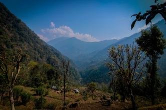 WOOD STOCK INN Tour Package - Silk Route Tourism
